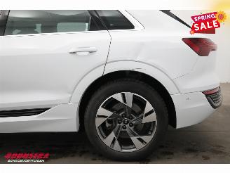 Audi Q8 55 quattro Advanced 115 kWh Pano LED ACC B&O HUD Memory 360° picture 15