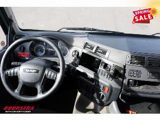 DAF CF 260 FA Aut. Koffer Dhollandia Euro 6 picture 15