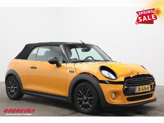 Mini Cabrio 1.5 Aut. Cooper Chili Navi Clima Cruise SHZ PDC AHK 97.954 km! picture 2