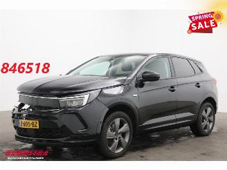 Auto incidentate Opel Grandland 1.6 Turbo Plug-In Hybrid Elegance LED ACC 360° LRHZ AHK 2023/1
