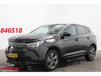 uszkodzony samochody osobowe Opel Grandland 1.6 Turbo Plug-In Hybrid Elegance LED ACC 360° LRHZ AHK 2023/1