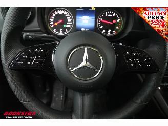 Mercedes Citan 110 CDI 7G-Tronic Apple/Android Cruise Camera PDC picture 27