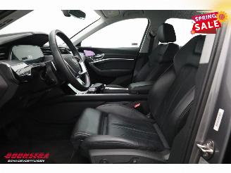 Audi E-tron 55 quattro Advanced 95 kWh MirrorCam LED ACC Leder Camera SHZ picture 16