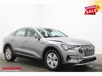 Audi E-tron 55 quattro Advanced 95 kWh MirrorCam LED ACC Leder Camera SHZ picture 2