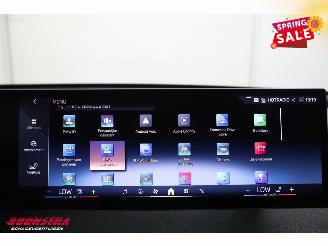 BMW iX xDrive50 112 kWh LED ACC HUD 360° H/K Memory Ventilatie AHK picture 38