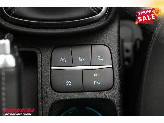 Ford Fiesta 1.0 EcoBoost Titanium Pano ACC B&O Navi Camera PDC picture 33
