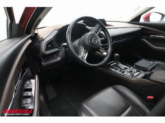 Mazda CX-30 2.0 e-SkyActiv-X M Hybrid Luxury LED ACC Bose Memory LRHZ AHK picture 12