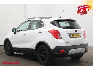 Opel Mokka 1.6 Selection Airco Cruise PDC AHK picture 4