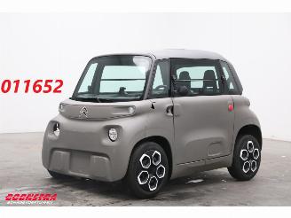 dommages voiturettes Citroën  Ami Zonnedak 2.104 km! 2025/5