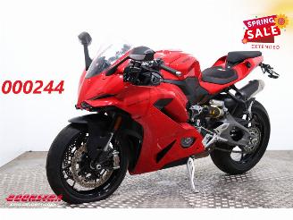 damaged motor cycles Ducati  Panigale V2 Panigale V2 ABS LED Cruise 1.500 km! 2025/7