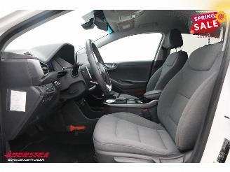 Hyundai Ioniq Comfort EV 38 kWh ACC Apple/Android Camera SHZ picture 15