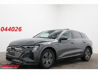 Avarii autoturisme Audi Q8 55 quattro Advanced 115 kWh Pano LED ACC HUD 360° Ventilatie LRHZ 2023/12