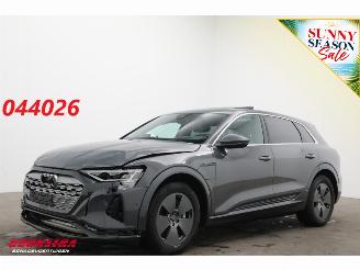 uszkodzony samochody osobowe Audi Q8 55 quattro Advanced 115 kWh Pano LED ACC HUD 360° Ventilatie LRHZ 2023/12