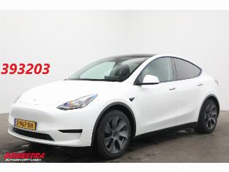 Schadeauto Tesla Model Y RWD 58 kWh Pano LED ACC Camera LRHZ SHZ AHK 2024/3