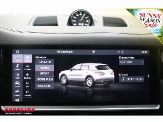 Porsche Cayenne 3.0 E-Hybrid Pano ACC PASM PDLS+ Memory 360° 45.923 km! picture 32