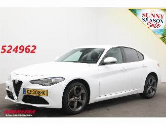 skadebil auto Alfa Romeo Giulia 2.2 Eco Business Super Leder BiXenon Navi Clima Cruise Camera 2017/1
