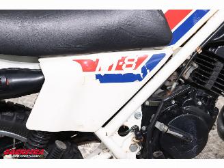 Honda  MT8 1981 picture 9