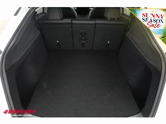 Tesla Model Y Standard RWD 58 kWh Pano LED ACC Camera SHZ LRHZ picture 34