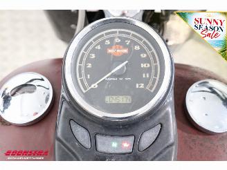 Harley-Davidson  FLS Softail Slim picture 12
