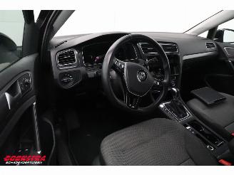Volkswagen e-Golf ACC Navi Apple Android PDC picture 13