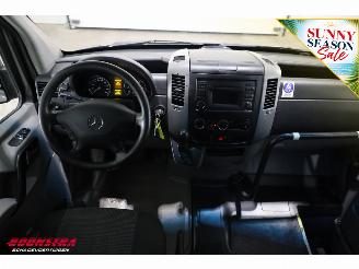 Mercedes Sprinter 313 CDI Aut. Flex-i-trans Behindertengerecht Airco Cruise picture 19