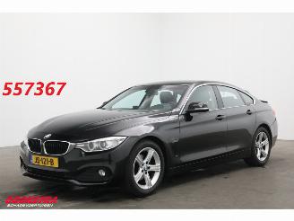 uszkodzony samochody osobowe BMW 4-serie Gran Coupé 418i Aut. Centennial Executive Cruise Navi Clima PDC AHK 2016/6