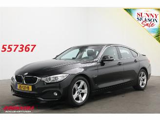 BMW 4-serie Gran Coupé 418i Aut. Centennial Executive Cruise Navi Clima PDC AHK 2016/6