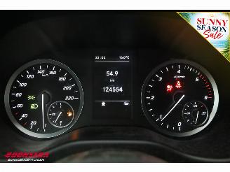 Mercedes Vito 110 CDI Lang LED Cruise Airco Apple/Android DAB Camera PDC picture 22