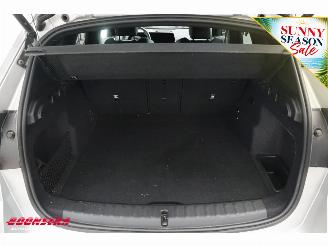BMW iX1 eDrive20 67 kWh M Sport ACC Navi H/K Memory SHZ Virtual 360° PDC picture 37