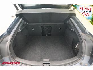 Polestar 2 ACC Virtual Navi Clima Memory SHZ Camera 360° PDC picture 40