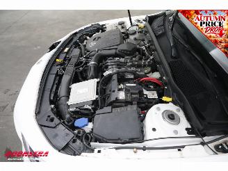 Mercedes A-klasse 250 e AMG Limited Pano Navi SHZ PDC AHK picture 11