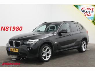 Avarii autoturisme BMW X1 sDrive18i Aut. Navi Clima Cruise PDC AHK 135.114 km! 2010/8