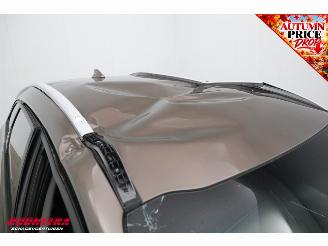 Kia Cee d Sportswagon 1.0 T-GDi Design Edition Cruise Clima Navi Camera PDC AHK Bluetooth picture 10