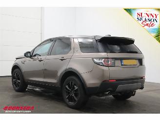 Land Rover Discovery Sport 2.2 TD4 Aut. Unfall 4WD SE Cruise Navi Clima PDC picture 4