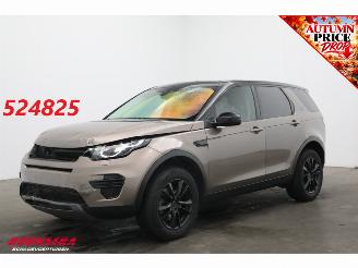 uszkodzony samochody osobowe Land Rover Discovery Sport 2.2 TD4 Aut. Unfall 4WD SE Cruise Navi Clima PDC 2015/5