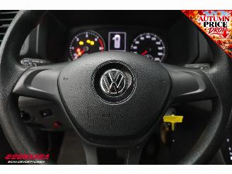 Volkswagen Crafter 2.0 TDI DSG L3-H2 LBW Dhollandia Airco Cruise Camera picture 19