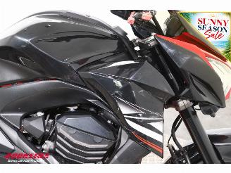 Kawasaki Z 800 ABS e-version Arrow picture 12