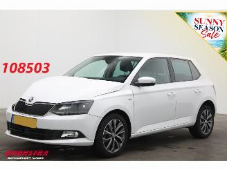 Avarii autoturisme Skoda Fabia 1.0 TSI Drive Navi Clima Cruise PDC 80.188 km! 2018/12