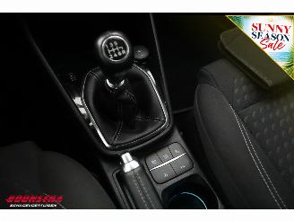 Ford Fiesta 1.0 EcoBoost Titanium Apple/Android ACC Navi Clima Camera PDC picture 25