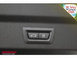 BMW X2 sDrive20i M Sport H/K ACC Navi HUD Memory Apple/Android Camera 360° PDC picture 40