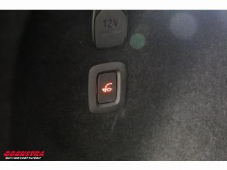 Volvo EX30 Single Motor Extended Range Core 69 kWh ACC Navi Clima Apple/Android Camera PDC AHK picture 31