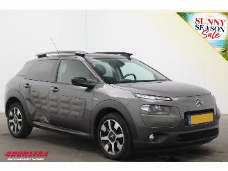 Citroën C4 cactus 1.2 PureTech Cruise Navi Clima Mulicity Connect Camera PDC picture 2