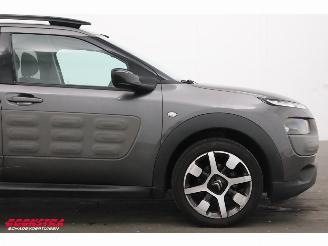 Citroën C4 cactus 1.2 PureTech Cruise Navi Clima Mulicity Connect Camera PDC picture 8