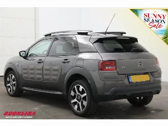 Citroën C4 cactus 1.2 PureTech Cruise Navi Clima Mulicity Connect Camera PDC picture 4