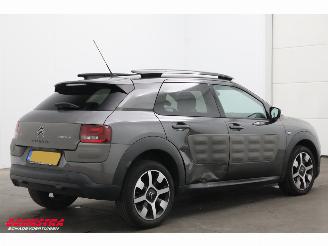 Citroën C4 cactus 1.2 PureTech Cruise Navi Clima Mulicity Connect Camera PDC picture 3