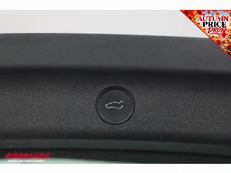 Tesla Model Y RWD 58 kWh Pano LED ACC LRHZ Camera AHK picture 33