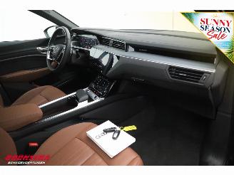 Audi Q8 50 quattro Advanced 95 kWh B&O Pano ACC Leder Memory SHZ Apple/Android Virtual Camera PDC picture 15
