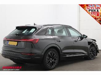 Audi Q8 50 quattro Advanced 95 kWh B&O Pano ACC Leder Memory SHZ Apple/Android Virtual Camera PDC picture 3
