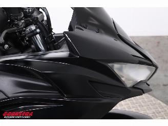 Kawasaki Ninja 650 ABS Arrow picture 13