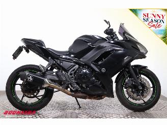 Kawasaki Ninja 650 ABS Arrow picture 7
